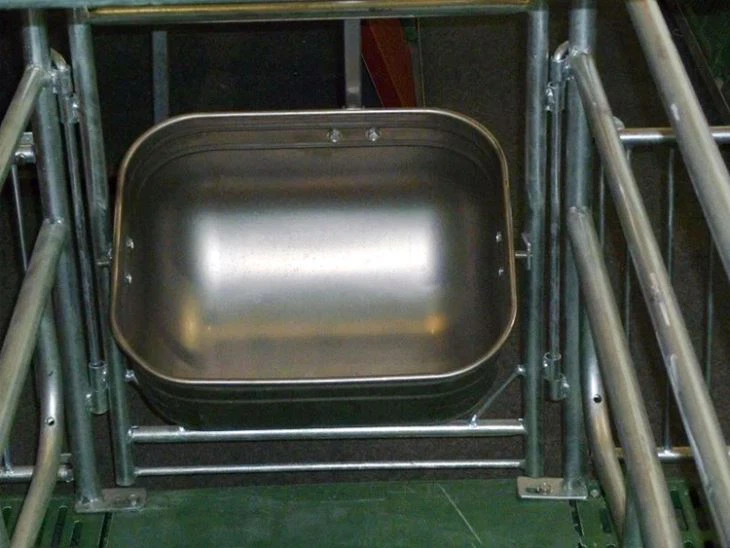 Stainless Steel Pig Feeder